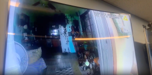 Police Say Maui Woman Killed By Officers After Abuse Report Wielded A Knife
